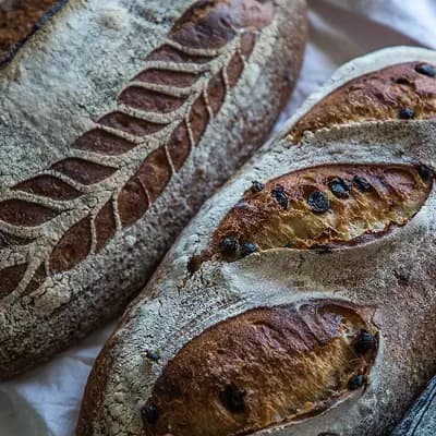 Sourdough - Browse bakeries specializing in sourdough