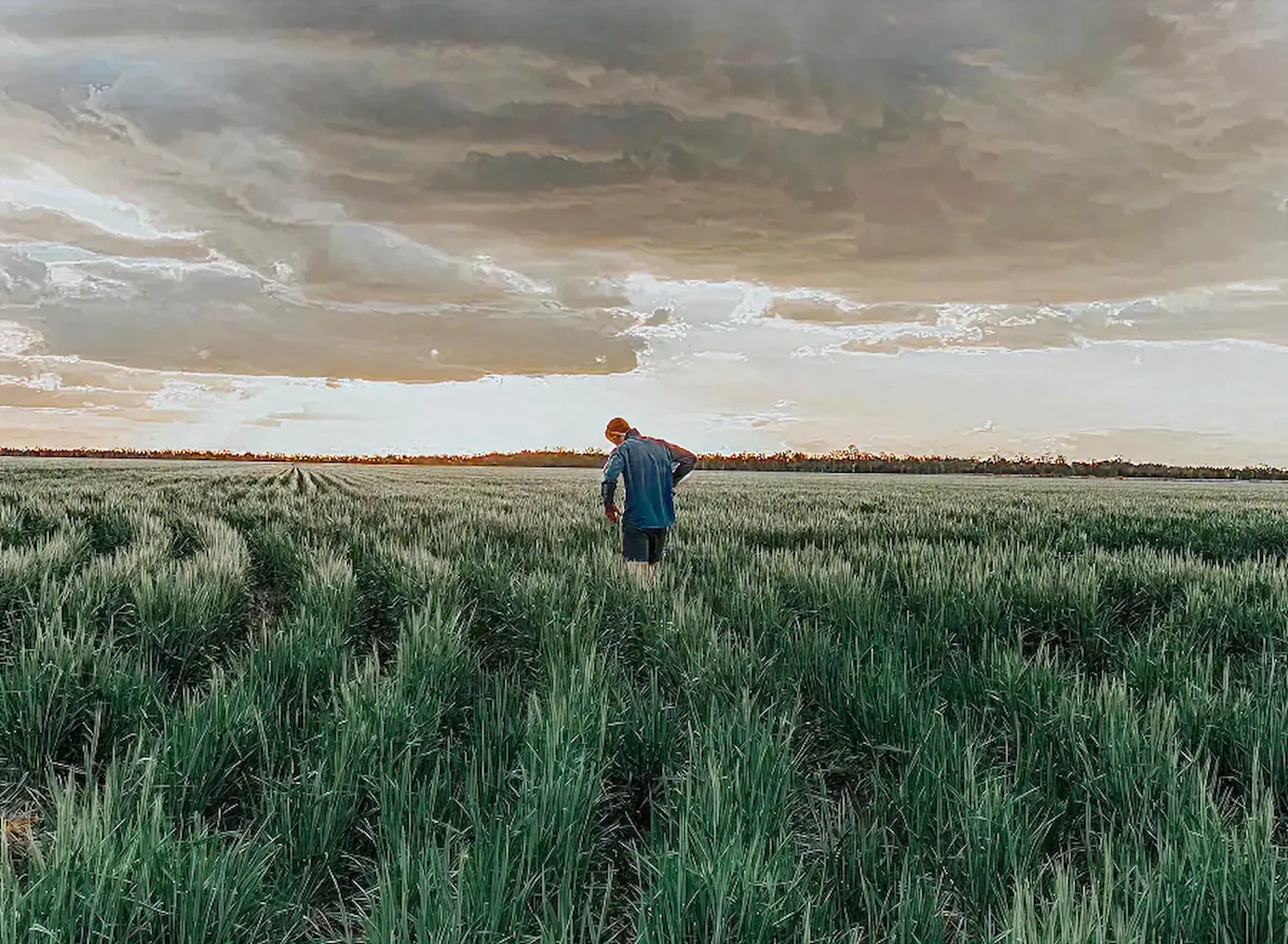 Why Wholegrain Milling Co. is the Benchmark for Australian Baking